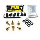 Aluminium Screen Bolt Kit Gold For BMW S 1000 RR ABS 2015-2018