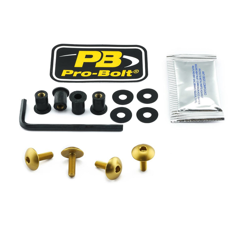 Aluminium Screen Bolt Kit Gold For BMW S 1000 RR ABS 2019-2024