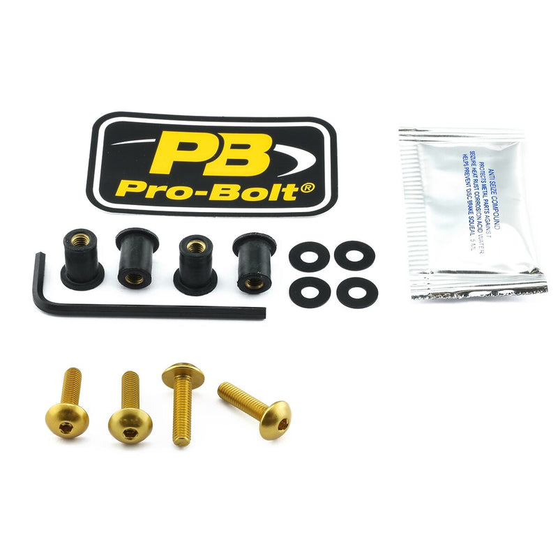 Aluminium Screen Bolt Kit Gold For BMW S 1000 XR ABS 2015-2021