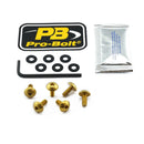 Aluminium Screen Bolt Kit Gold For BMW R 1250 GS ABS 2019-2024