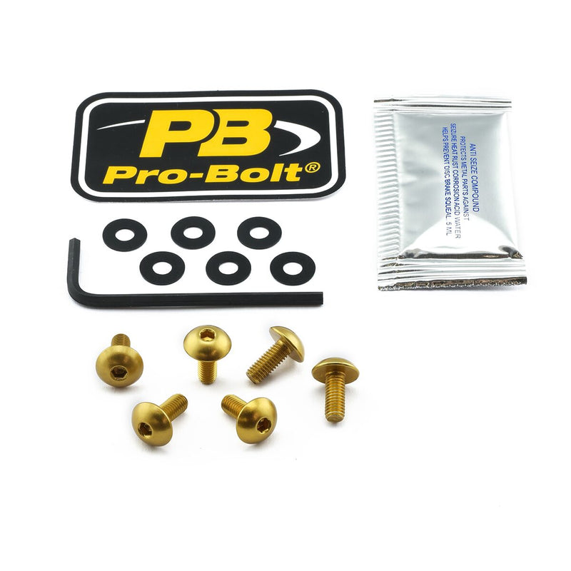 Aluminium Screen Bolt Kit Gold For BMW R 1250 GS ABS 2019-2024