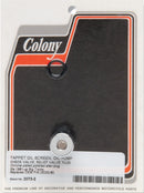 Oil Pump Plug For Harley Davidson FLHR 1340