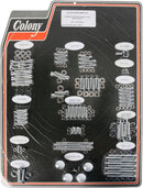 Allen Bolt Kit Polished / Silver For Harley Davidson FLS 1690 2012-2017