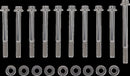 Dress-Up Engine Case Bolt Fastener Kit Polished / Silver | 24010809
