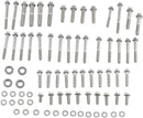 12-Point External Primary/Transmission Engine Fastener Kit Raw / Silver | 24011092