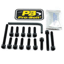 Aluminium Engine Bolt Kit For Kawasaki ZZR 1400 ABS 2012-2020 | 24011379