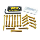 Aluminium Engine Bolt Kit For Suzuki GSX-R 1000 2017-18