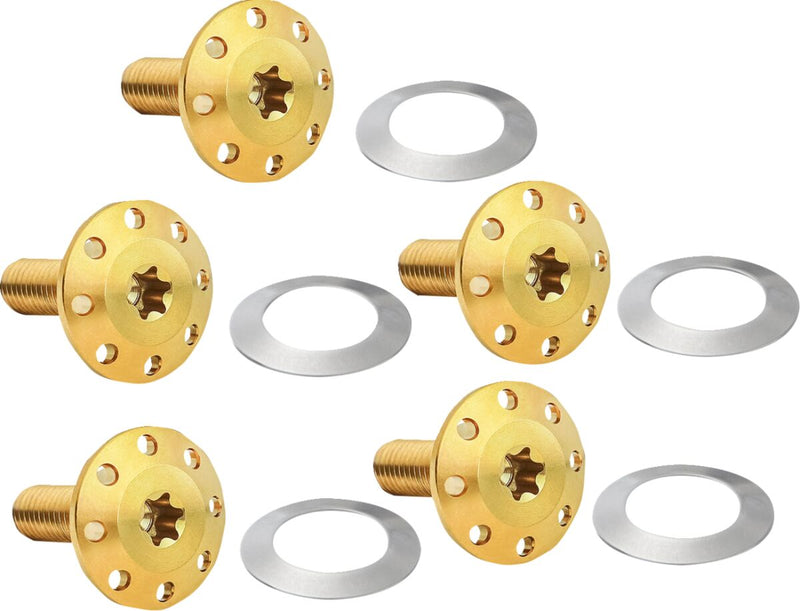 Holeshot Front Floating Brake Rotor Bolt Kit Gold / Polished For Harley Davidson FLHR 1690