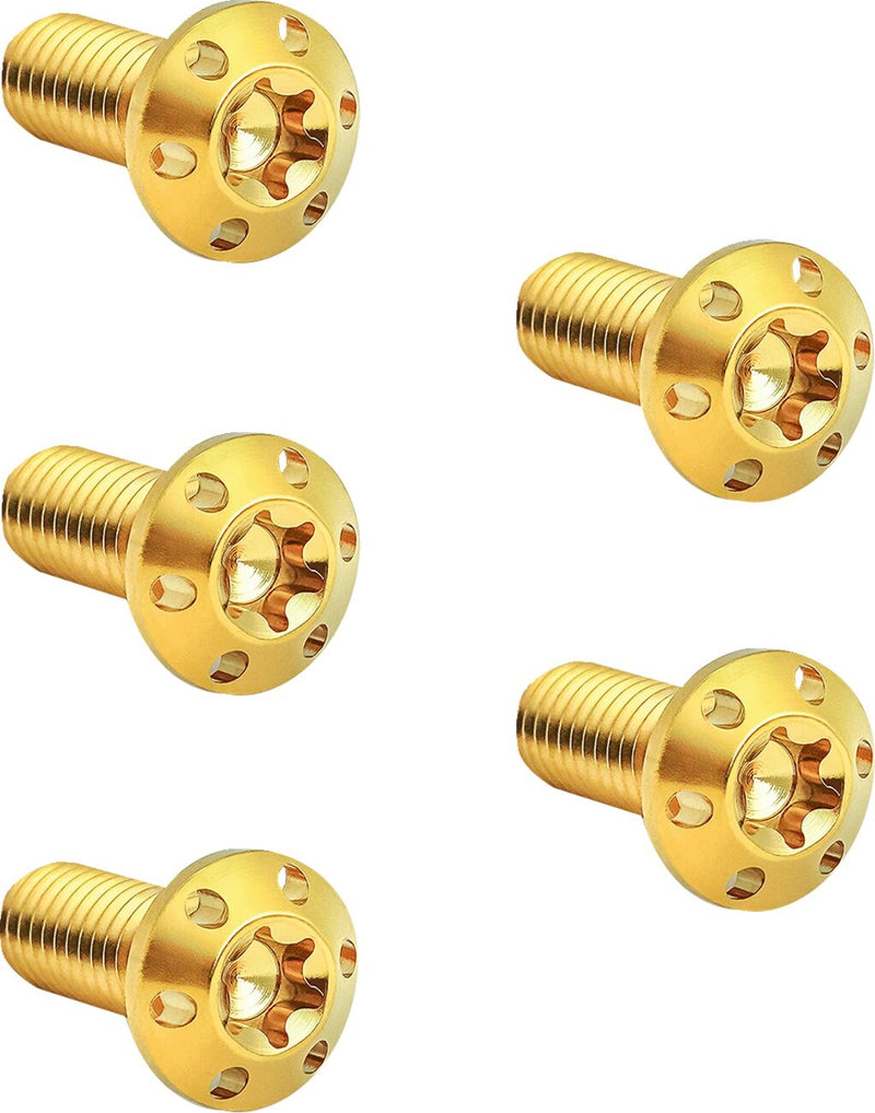 Holeshot Brake Rotor Bolt Kit Gold / Polished - 5/16 Inch-18