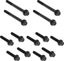 Outer Primary Cover Titanium 12-Point Bolt Kit Black
