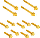 Outer Primary Cover Titanium 12-Point Bolt Kit Gold