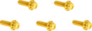 Derby Cover 12-Point Titanium Bolt Kit Gold