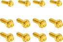 Transmission Side Cover & Trap Door Titanium 12-Point Bolt Kit Gold