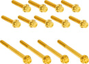 Hardware Kit Titanuim 12 Point Primary Cover Gold