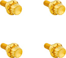 Windshield Titanium 12-Point Bolt Kit Gold