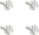 Titanium 12-Point Windshield Bolts Polished / Silver