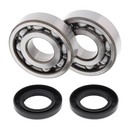 Crank Bearing & Seal Kit For KX500 83-04