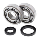 Crank Bearing & Seal Kit For RM125 89-08