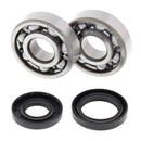 Crank Bearing & Seal Kit For YZ125 01-04