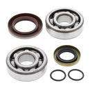 Crank Bearing & Seal Kit For SX65 09-24/TC65 17-24