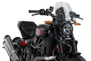 Sport Screen Clear For Indian FTR 1200 2019>2025