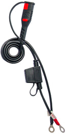 BS10 BATTERY CHARGER BS10 6V/12V-1AUK Plug Black / Red
