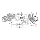 Breather Tube Crankcase XL For 54-78 XLH