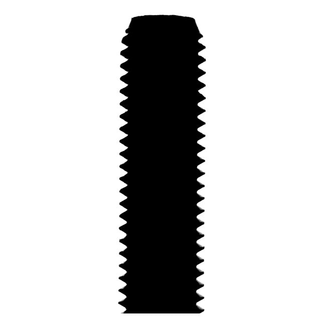 Allen Bolt Chrome 1/4-28 X 3/8 Inch