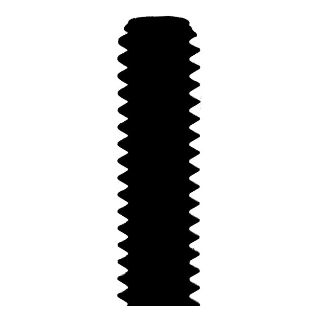Allen Bolt Chrome 1/4-20 X 3/8 Inch