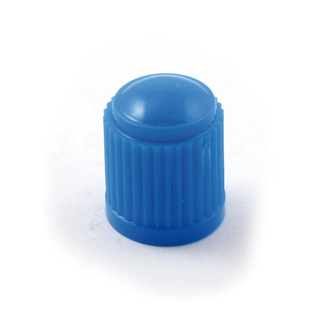 Valve Stem Cap 23