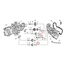 Camshaft Bushing Outer Standard For 52-21 K, XL Excluding XR1200