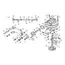 Chrome Hex Bolt 1/4 Inch-20 X 7/8