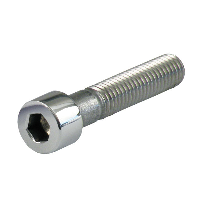 Allen Bolt Polished Stainless Steel - M12 X 65 MM