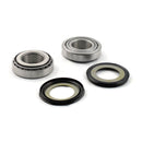 Frame Neck Bearing Race & Seal Kit For 49-23 B.T.