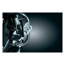 Premium Mini Floorboard Set Chrome For All Traditional H-D Male Mount