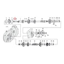O-Ring Clutch Gear 561458