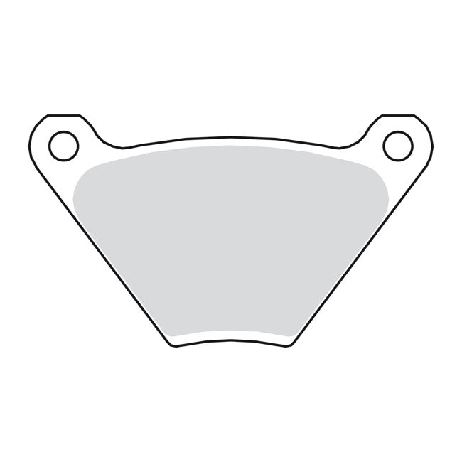 Brake Pads Street Carbon Tech Organic For Front: 14-22 XL