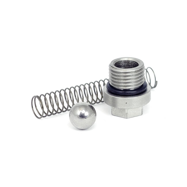 Check Valve Repair Kit