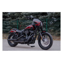 Dyna Fairing Kit