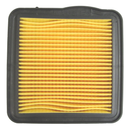 Air Filter CBF125 09-15