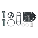 Petrol Tap Kit For ZR550-ZR1100