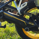 3D Motorcycle Stickers - Swing Arm For BMW R 1250 GS 2021>2024