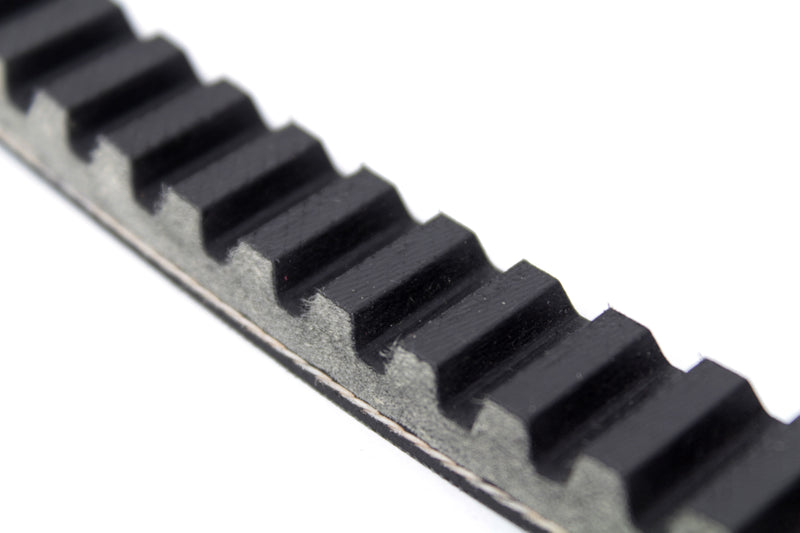 Drive Belt 19 X 795 MM