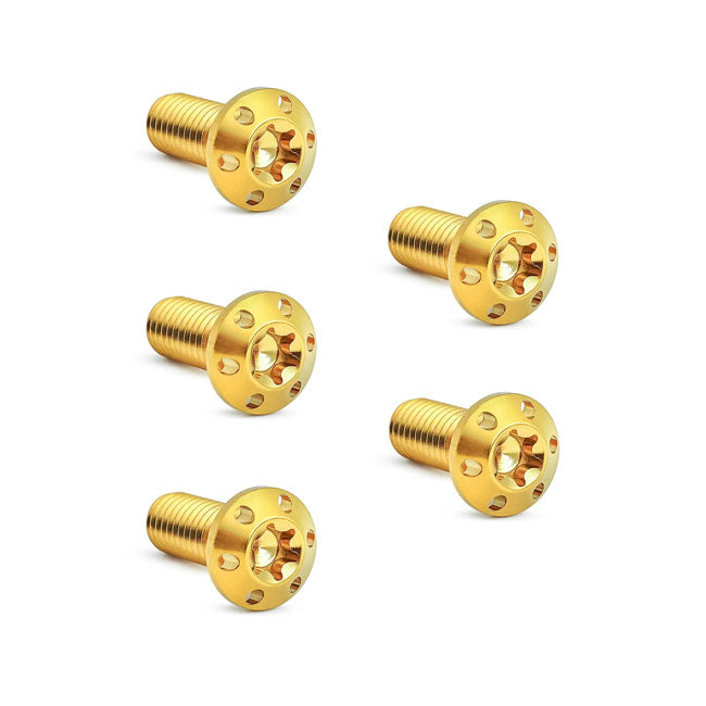 Titanium Brake Rotor Bolt Kit Rear Gold