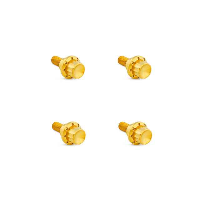 Titanium 12-Point Windshield Bolt Kit Gold For Road Glide: 23-25 Fltrxse