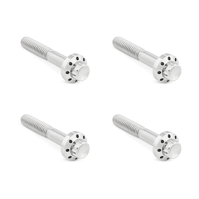 Titanium 12-Point Front Fender Bolt Kit Polished For 09-25 Touring: Road Glide