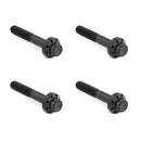 Titanium 12-Point Front Fender Bolt Kit Black For 09-25 Touring: Road Glide