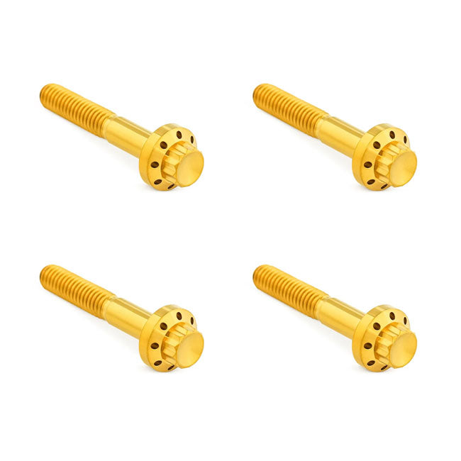 Titanium 12-Point Front Fender Bolt Kit Gold For 09-25 Touring: Road Glide