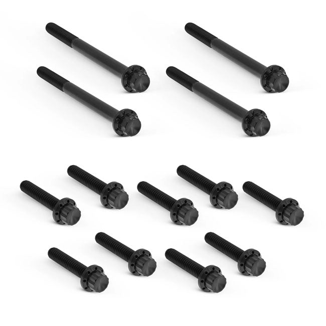 Titanium 12-Point Primary Cover Bolt Kits Black For 17-25 Flt/Touring