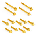 Titanium 12-Point Primary Cover Bolt Kits Gold For 17-25 Flt/Touring
